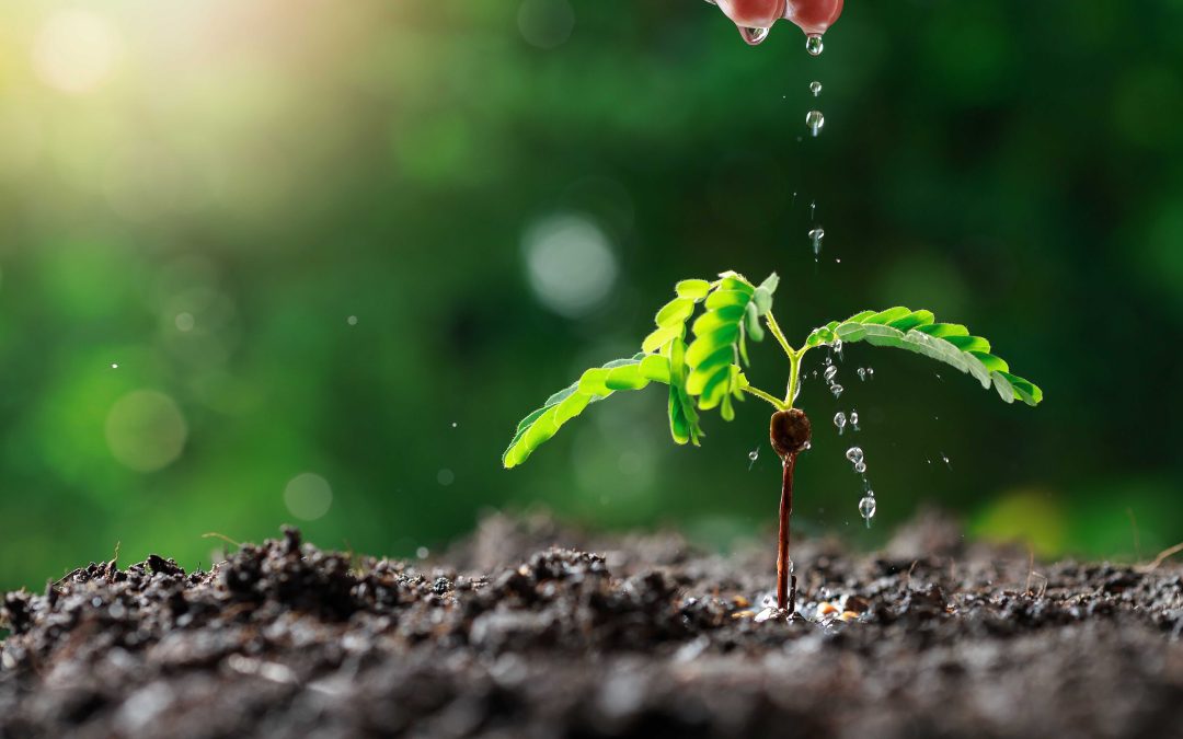 10 Consejos para ahorrar agua