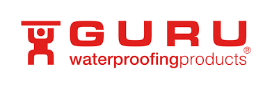 Sesión de Actualización con GURU
