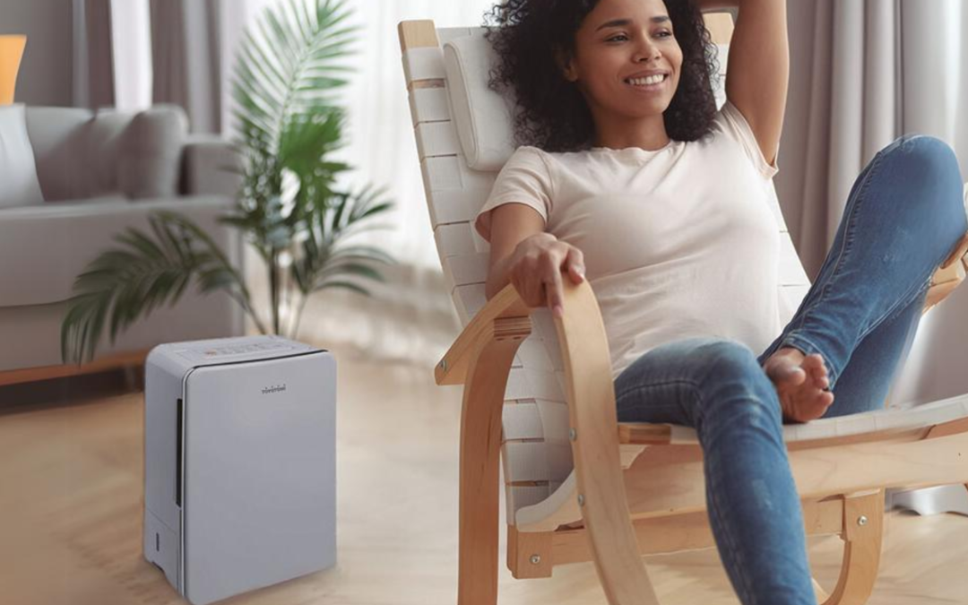 ¡Mantén tu hogar libre de humedad con los deshumidificadores Toyotomi!